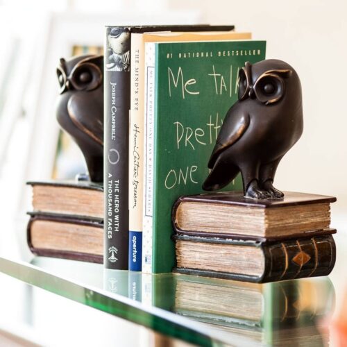 Owl On Books Bookend Set